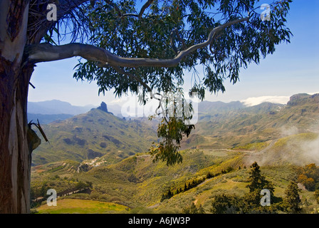 GRAN CANARIA Roque Nublo und die umliegenden Berge im Zentrum von Gran Canaria Kanarische Inseln Spanien Stockfoto