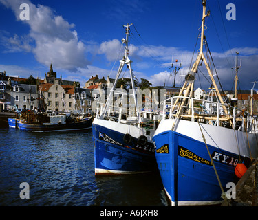 GB - Schottland: Pittenweem Hafen Stockfoto