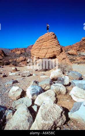 Nevada USA Tourist in Wüste 'Valley of Fire' Mann auf große Boulder Outdoor Abenteuer Stockfoto