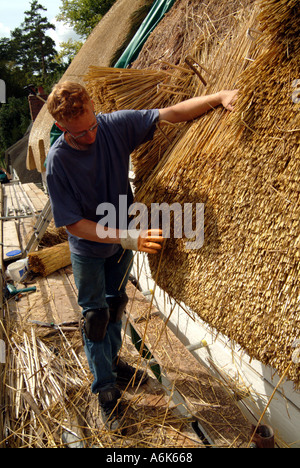 Thatcher arbeiten mit Reed auf einer Hütte Dach Hampshire Southern England UK Stockfoto