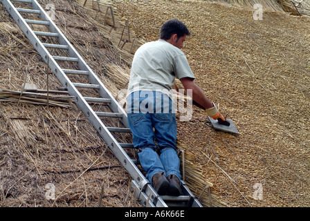 Thatcher arbeiten mit Reed auf einer Hütte Dach Hampshire Southern England UK Stockfoto