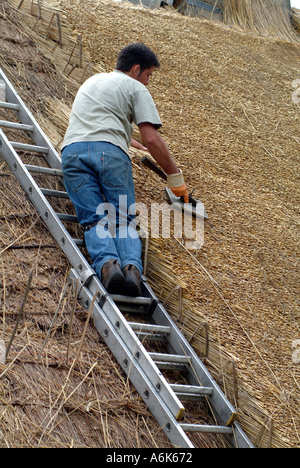 Thatcher arbeiten mit Reed auf einer Hütte Dach Hampshire Southern England UK Stockfoto