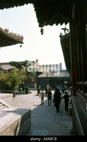 Lama Yonghe-Tempel Peking Peking China chinesische asiatische asiatische Asien Stockfoto