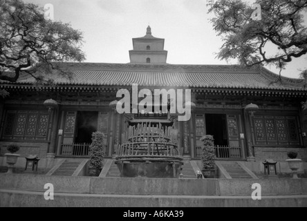 Große Moschee XI Xian große alte Hauptstadt von China Shaanxi chinesische asiatische asiatische Asien Stockfoto