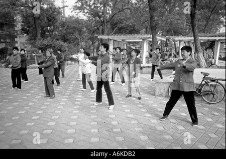 Haihe Park Tianjin China chinesische asiatische asiatische Asien Stockfoto