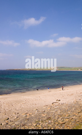 dh Bay of Skaill SANDWICK ORKNEY Familienpaar zu Fuß mit Hund sonniger Tag blauer Himmel Sandstrand schottland Haustier Spaziergang Stockfoto