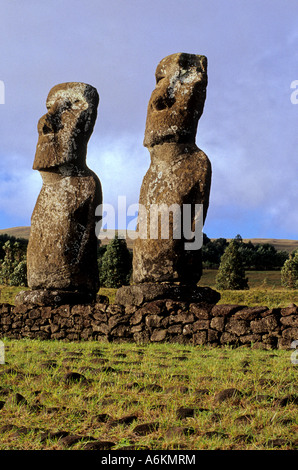 Moais Ahu Akivi im Landesinneren Ahu auf der UNESCO-World Heritage Osterinsel Chile Stockfoto