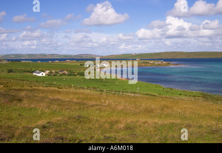 dh Bay of Quoys HOY ORKNEY grasbewachsenen Feldern Häuser Burra Sound und Graemsay Insel abgelegener Zufluchtsort Countryszene weit weg scapa Flow Croft Stockfoto