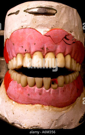 Zahnarzt Zähne Modell Stockfoto