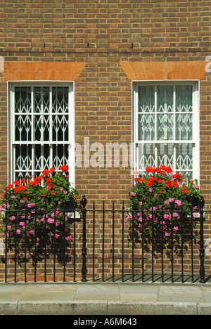 City of London im Erdgeschoss Räumlichkeiten mit Fenster Sicherheit grills mit Sommerblumen in Fenster-box Stockfoto
