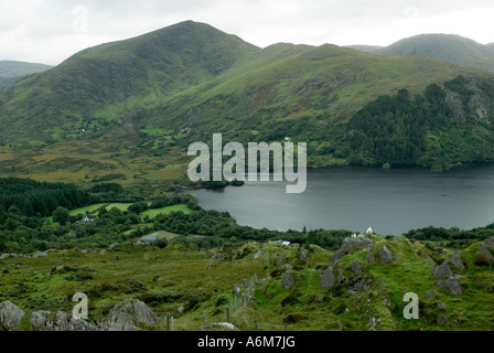Schafe genießen Sie den Blick über Muckross oder nahen See im Killarney National Park im County Kerry Irland an einem bewölkten Tag Stockfoto