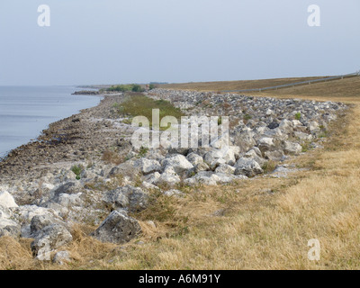 Lake Okeechobee niedrige Wasserstände Trockenheit ausgesetzt bank Hafen Mayaca 03 07 Stockfoto