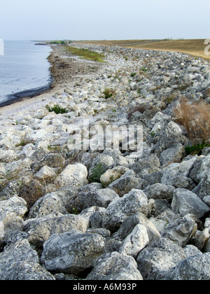 Lake Okeechobee niedrige Wasserstände Trockenheit ausgesetzt bank Hafen Mayaca 03 07 Stockfoto