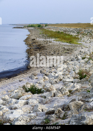 Lake Okeechobee niedrige Wasserstände Trockenheit ausgesetzt bank Hafen Mayaca 03 07 Stockfoto