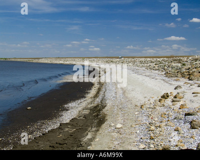 Lake Okeechobee niedrige Wasserstände Trockenheit ausgesetzt bank Hafen Mayaca 03 07 Stockfoto