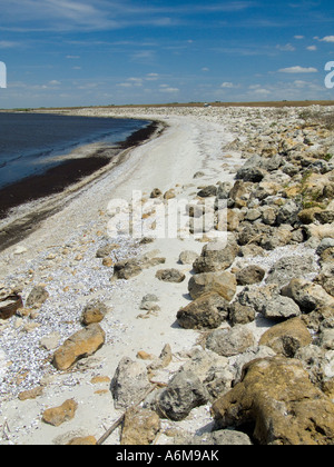 Lake Okeechobee niedrige Wasserstände Trockenheit ausgesetzt bank Hafen Mayaca 03 07 Stockfoto