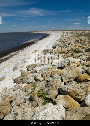 Lake Okeechobee niedrige Wasserstände Trockenheit ausgesetzt bank Hafen Mayaca 03 07 Stockfoto