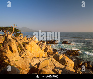 Pescadero Point Monterey Peninsula Kalifornien Küste USA Stockfoto