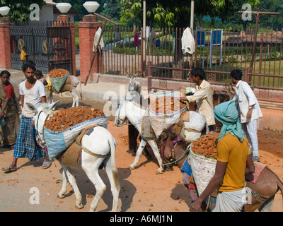 Arbeiter laden Schutt auf Eseln Fahrradtasche Körbe Sarnath Uttar Pradesh Indien Asien Stockfoto