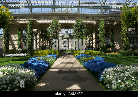 Innen am Konservatorium bei Pierre du Pont Erstellung Longwood Gärten Kennett Square, Pennsylvania Stockfoto