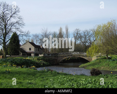 Sinnington im Frühjahr Stockfoto