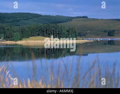 Kielder Wasser und Wald im Nationalpark Northumberland England UK Stockfoto