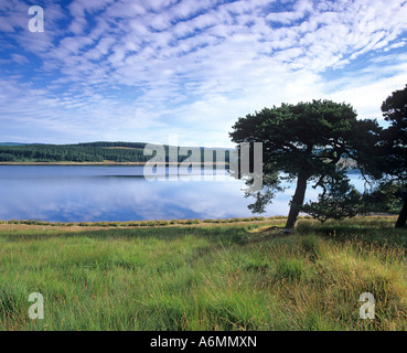 Kielder Wasser und Wald in Northumberland Nationalpark Eng; und UK Stockfoto