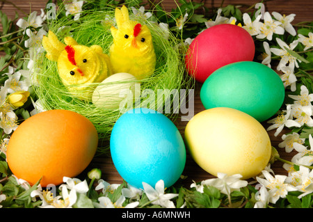 Bunte Ostereier und zwei dekorativen Küken Stockfoto