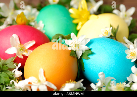 Bunte Ostereier, umgeben von Frühlingsblumen Stockfoto