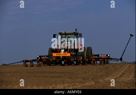 Zuckerrüben werden mechanische auf Ackerland in der Nähe von Butley, Suffolk, UK gesät. Stockfoto