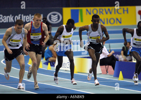 3000 Meter Athleten auf den Weg in das Rennen beim großen Preis von Norwich Union Leichtathletik INDOOR Stockfoto