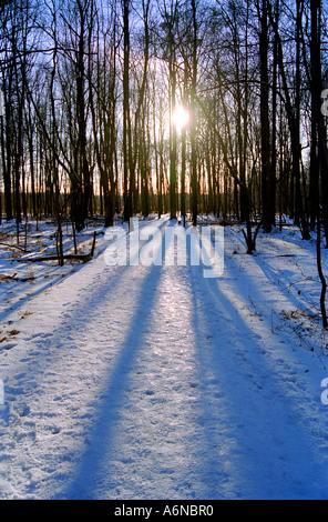 Die Sonne versinkt hinter Huntley Meadows Park Fairfax Virginia USA Stockfoto