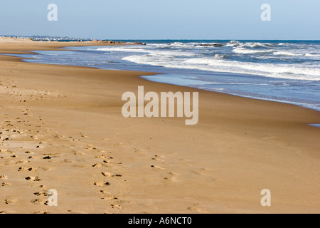 Playa Brava - Punta Del Este Stockfoto