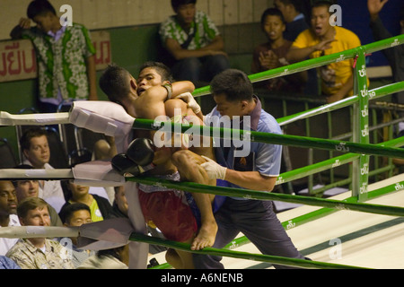 In der Ecke zu kämpfen, während ein Muay Thai Kämpfer kämpfen (Rajadamnern Stadion, Bangkok, Thailand). Stockfoto