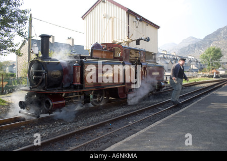 Durch die neu restaurierte Merddin Emrys Dampfmaschine auf die wieder Railwayat Blaenau Ffestiniog, Nordwales Stockfoto