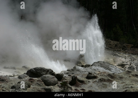 Steamboat-Geysir im Yellowstone-Nationalpark Stockfoto