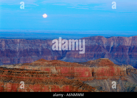 Grand Canyon North Rim.  Arizona, USA. Stockfoto