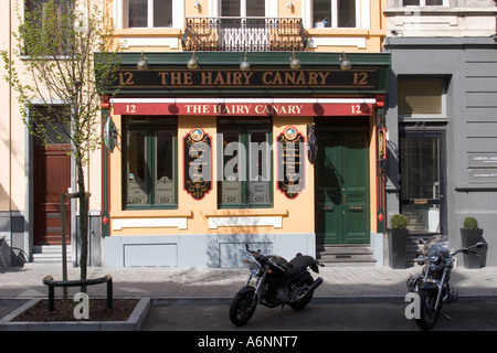 Der behaarte kanarischen Bar Rue Archimedes EU Bezirk Brüssel Belgien Stockfoto