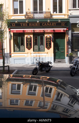 Der behaarte kanarischen Bar Rue Archimedes EU Bezirk Brüssel Belgien Stockfoto