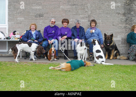 Hundebesitzer und eine Vielzahl von Hunden auf einer Bank ausruhen Stockfoto