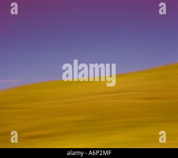 Feld in der Toskana in der Hitze des Sommers, verschwommen Schuss Stockfoto