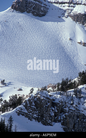 Spuren von Pulver 8 Cody Schüssel Jackson Hole Wyoming USA Stockfoto