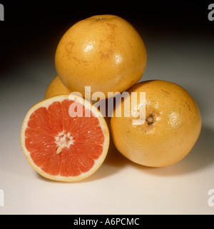 Gruppe von Grapefruit Früchte einer geschnittenen Sorte Burgund Stockfoto