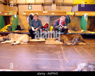 CRUFTS DOG SHOW BIRMINGHAM UK 10. März 2005 Hunde und Besitzer Stockfoto