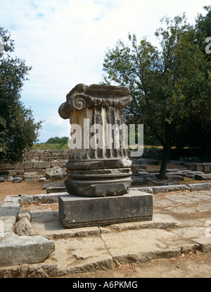 Teil der ausgeblendeten Spalte im antiken Olympia Peloponnes Griechenland Hellas Stockfoto