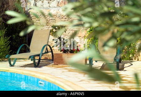 SONNE BETTEN NEBEN SWIMMING POOL IN ZYPERN MIT OLIVEN BAUM IM VORDERGRUND Stockfoto