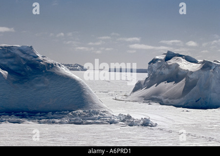 Eisberge inmitten Schelf-Larsen-Schelfeis, Antarktis Stockfoto