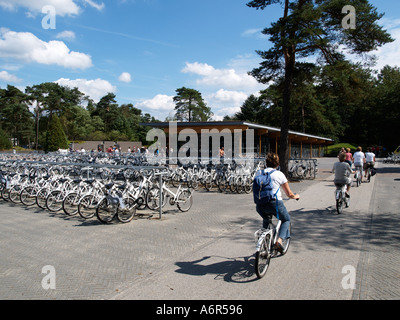 Die weißen Fahrräder können ausgeliehen und kostenlos im Nationalpark Hoge Veluwe in den Niederlanden verwendet werden Stockfoto