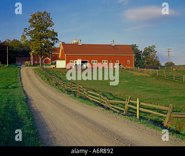 rote Scheune auf Hof in der Nähe von Peacham Vermont USA Stockfoto