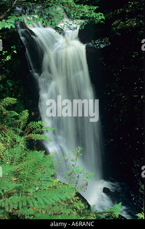 Wasserfall im Glenariff, Co.Antrim, Nordirland Stockfoto